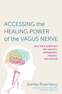 Cover of the book Accessing the Healing Power of the Vagus Nerve, by Stanley Rosenberg