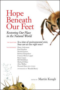 Cover of the book Hope Beneath Our Feet, edited by Martin Keogh